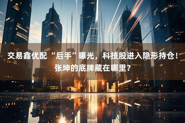 交易鑫优配 “后手”曝光，科技股进入隐形持仓！张坤的底牌藏在哪里？