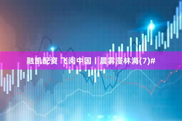 融凯配资 飞阅中国丨晨雾漫林海(7)#
